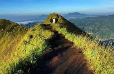 Mount Batur Daylight Trekking Tour