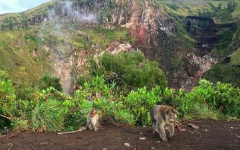 Mount Batur Daylight Trekking Tour